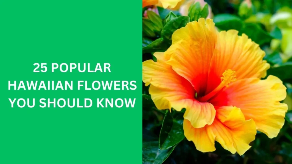 25 Popular Hawaiian Flowers You Should Know