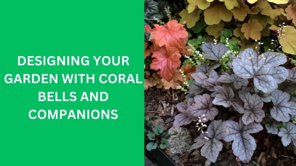 Designing Your Garden with Coral Bells and Companions