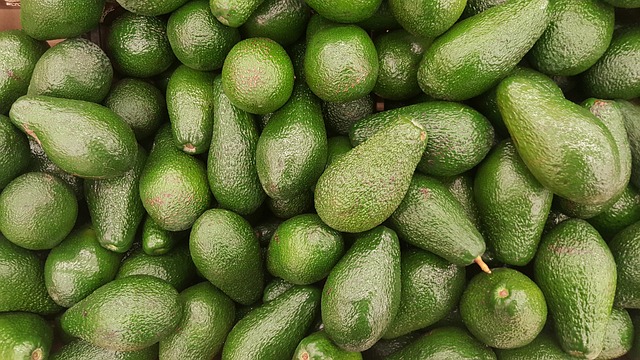 Fuerte Avocado